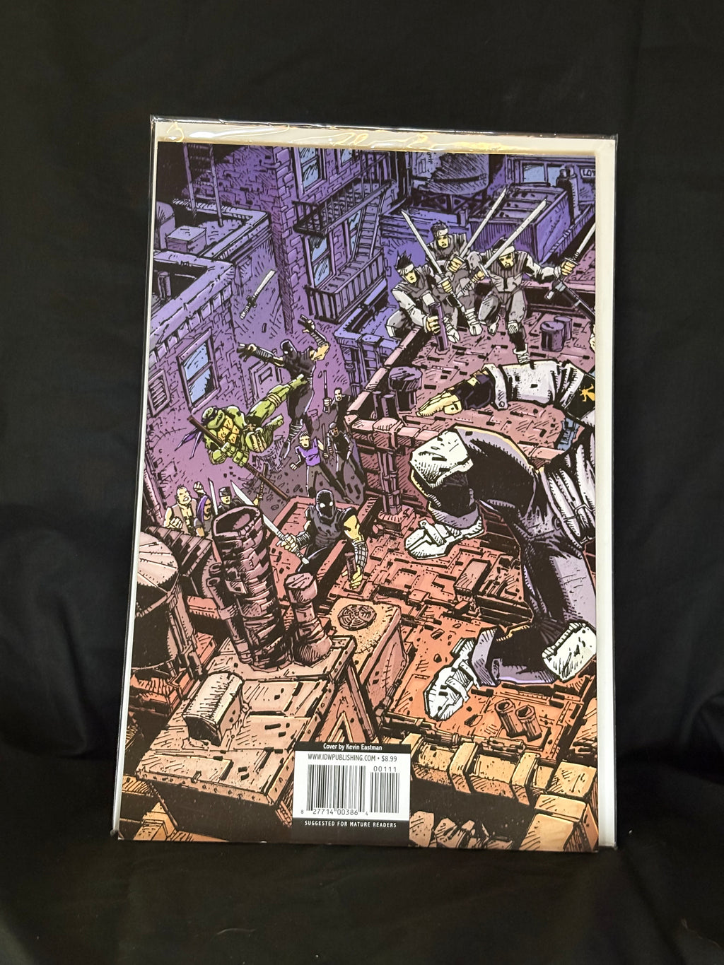 TEENAGE MUTANT NINJA TURTLES ANNUAL 2012 IDW PUBLISHING